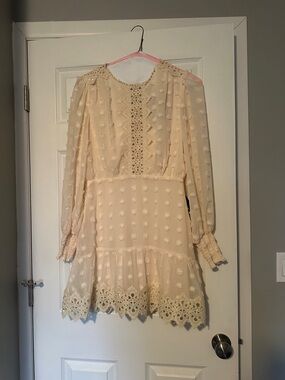 Lulu's Cream Long Sleeve Swiss Dot Lace Trim Mini Dress